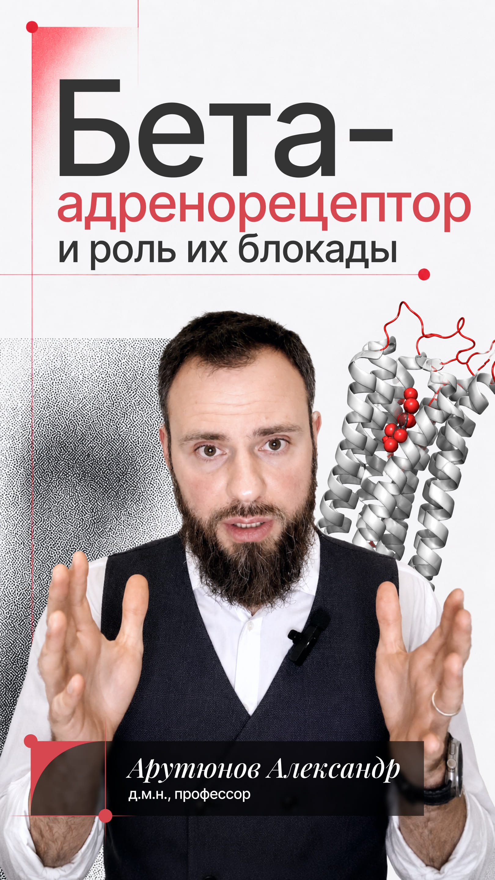 Бета-адренорецептор и роль их блокады
